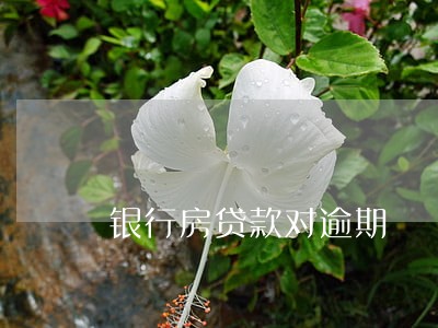 银行房贷款对逾期 银行房贷款对逾期