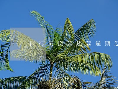 银行房贷款还款逾期怎么办 银行房贷款还款逾期怎么办