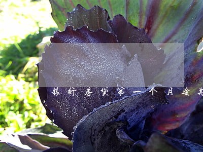 银行房贷第一个月逾期 银行房贷第一个月逾期