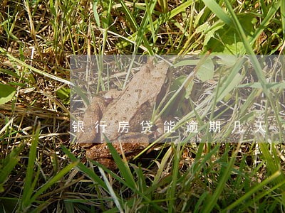 银行房贷能逾期几天 银行房贷能逾期几天