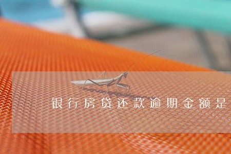 银行房贷还款逾期金额是什么 银行房贷还款逾期金额是什么