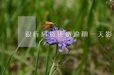 银行房贷还贷逾期一天影响征信吗