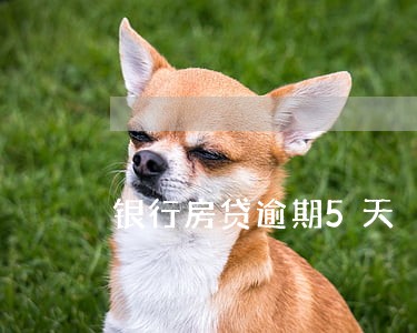 银行房贷逾期5天 银行房贷逾期5天