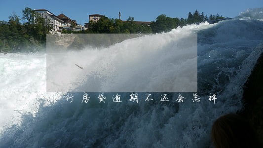 银行房贷逾期不还会怎样 银行房贷逾期不还会怎样