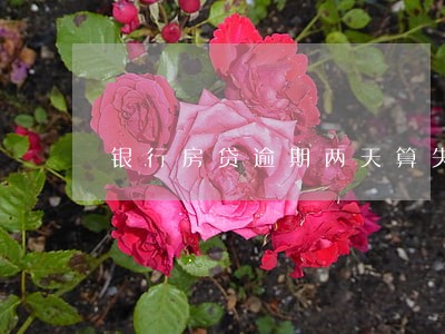银行房贷逾期两天算失信吗 银行房贷逾期两天算失信吗