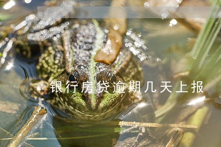 银行房贷逾期几天上报 银行房贷逾期几天上报
