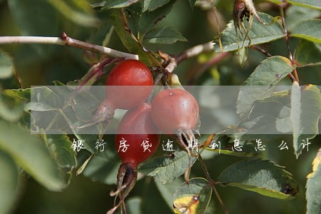 银行房贷逾期利息怎么计算 银行房贷逾期利息怎么计算