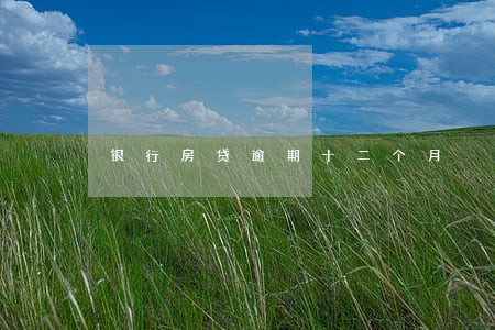 银行房贷逾期十二个月 银行房贷逾期十二个月