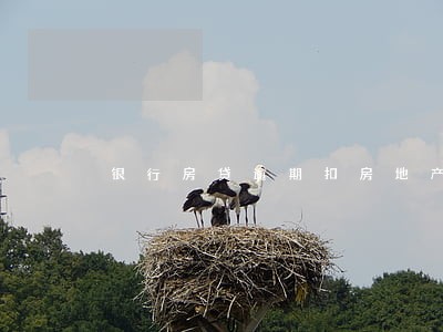 银行房贷逾期扣房地产保证金 银行房贷逾期扣房地产保证金