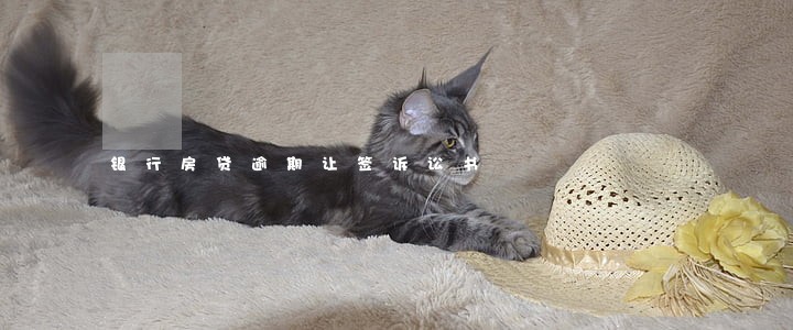 银行房贷逾期让签诉讼书 银行房贷逾期让签诉讼书