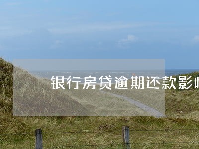 银行房贷逾期还款影响贷款吗