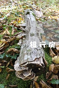 银行房贷逾期通知书贴门上 银行房贷逾期通知书贴门上