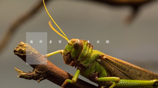 银行房贷非恶意逾期 银行房贷非恶意逾期