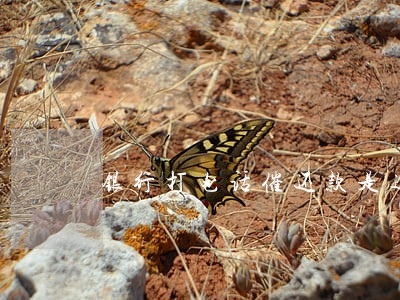 银行打电话催还款是逾期多久了 银行打电话催还款是逾期多久了