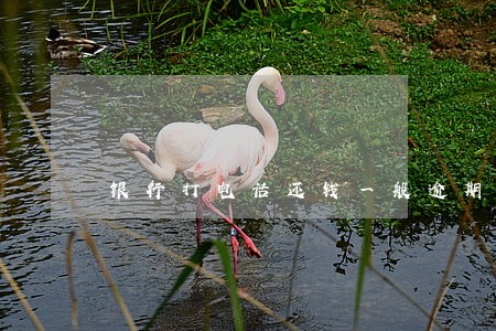 银行打电话还钱一般逾期几个月 银行打电话还钱一般逾期几个月