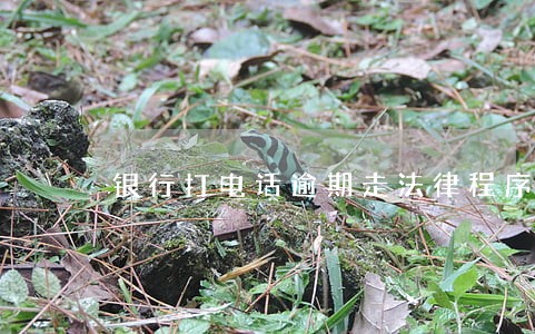 银行打电话逾期走法律程序 银行打电话逾期走法律程序