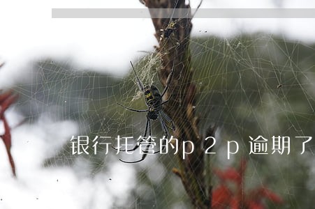 银行托管的p2p逾期了咋办 银行托管的p2p逾期了咋办