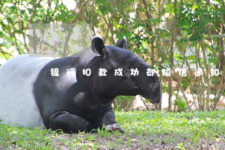 银行扣款成功却短信通知逾期 银行扣款成功却短信通知逾期