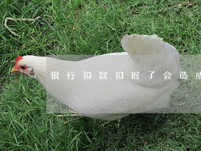 银行扣款扣迟了会造成逾期吗 银行扣款扣迟了会造成逾期吗