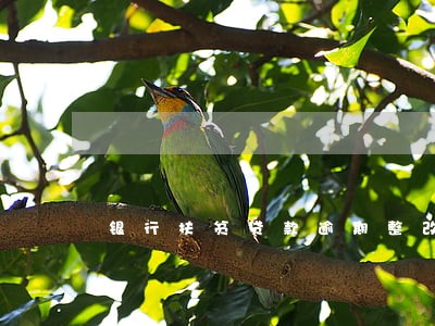银行扶贫贷款逾期整改措施 银行扶贫贷款逾期整改措施
