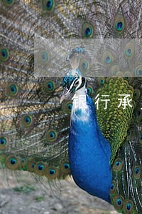 银行承兑什么时候逾期 银行承兑什么时候逾期
