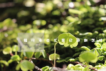 银行承兑汇票已逾期怎样处理 银行承兑汇票已逾期怎样处理