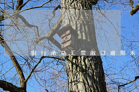 银行承兑汇票敞口逾期未还 银行承兑汇票敞口逾期未还