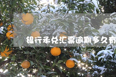 银行承兑汇票逾期多久有效 银行承兑汇票逾期多久有效
