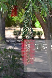银行承兑汇票逾期未偿付 银行承兑汇票逾期未偿付