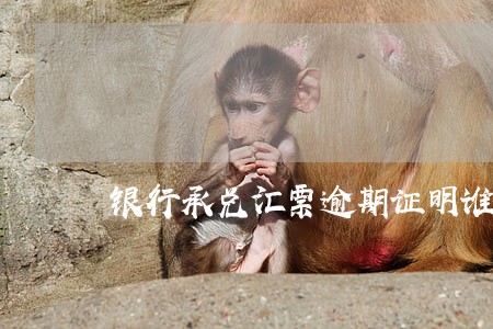 银行承兑汇票逾期证明谁出 银行承兑汇票逾期证明谁出