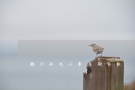 银行承兑汇票逾期贷款