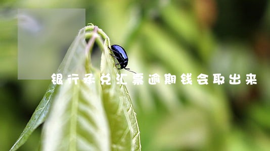 银行承兑汇票逾期钱会取出来 银行承兑汇票逾期钱会取出来