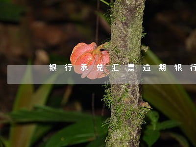 银行承兑汇票逾期银行可以 银行承兑汇票逾期银行可以