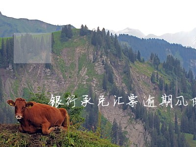 银行承兑汇票逾期风险管理 银行承兑汇票逾期风险管理