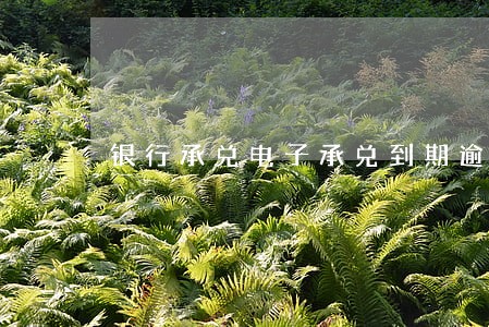 银行承兑电子承兑到期逾期 银行承兑电子承兑到期逾期