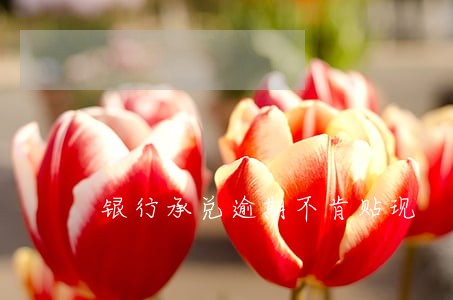 银行承兑逾期不肯贴现 银行承兑逾期不肯贴现