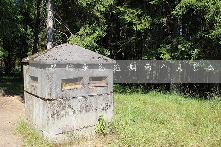银行承兑逾期两个月怎么办 银行承兑逾期两个月怎么办