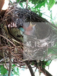 银行承兑逾期多久有效 银行承兑逾期多久有效