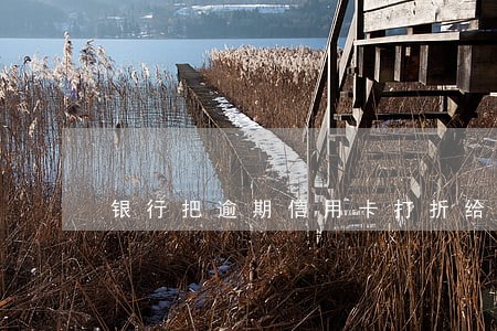 银行把逾期信用卡打折给第三方 银行把逾期信用卡打折给第三方