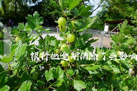 银行把逾期消除了会影响征信吗 银行把逾期消除了会影响征信吗