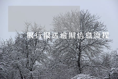 银行报送逾期信息流程 银行报送逾期信息流程