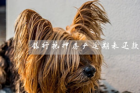 银行抵押房产逾期未还款 银行抵押房产逾期未还款