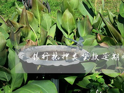 银行抵押类贷款逾期率 银行抵押类贷款逾期率