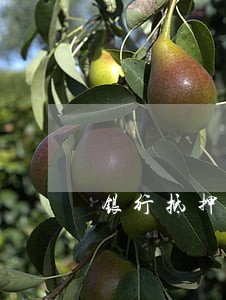 银行抵押贷款不小心逾期一天 银行抵押贷款不小心逾期一天