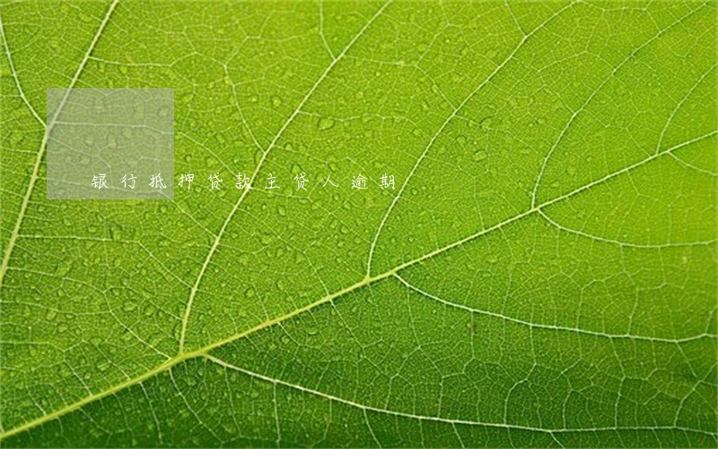 银行抵押贷款主贷人逾期 银行抵押贷款主贷人逾期