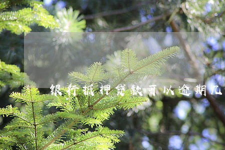 银行抵押贷款可以逾期几天 银行抵押贷款可以逾期几天