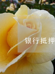 银行抵押贷款逾期了怎么办 银行抵押贷款逾期了怎么办