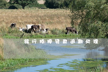 银行抵押贷款逾期处理 银行抵押贷款逾期处理