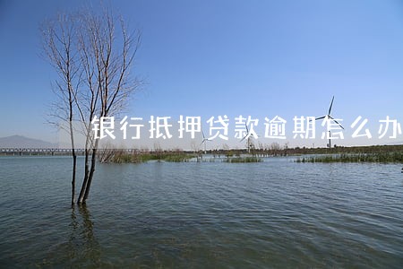 银行抵押贷款逾期怎么办理