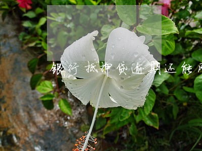 银行抵押贷逾期还能网贷吗 银行抵押贷逾期还能网贷吗